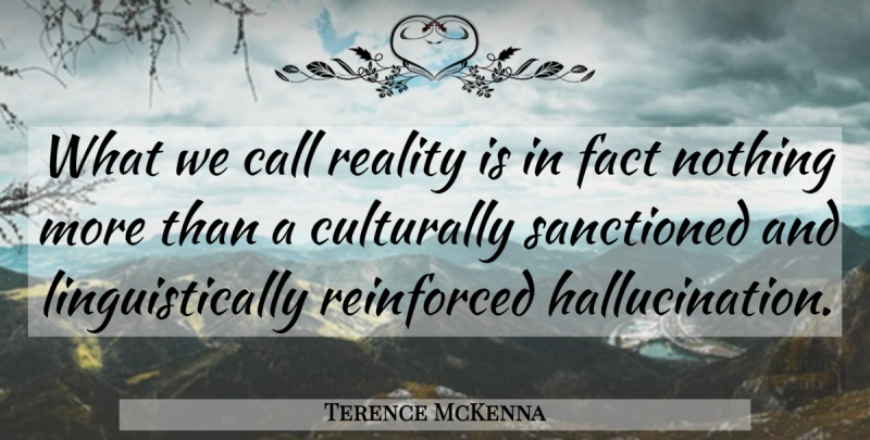Terence McKenna Quote About Reality, Facts, Hallucinations: What We Call Reality Is...
