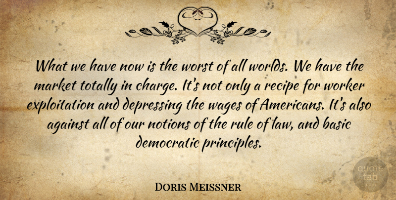 Doris Meissner Quote About Against, Basic, Democratic, Depressing, Market: What We Have Now Is...