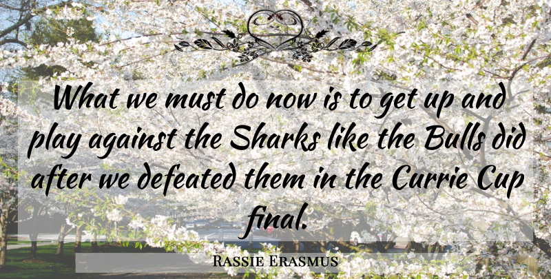 Rassie Erasmus Quote About Against, Bulls, Cup, Defeated, Sharks: What We Must Do Now...