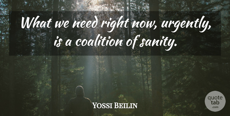 Yossi Beilin Quote About Coalition: What We Need Right Now...