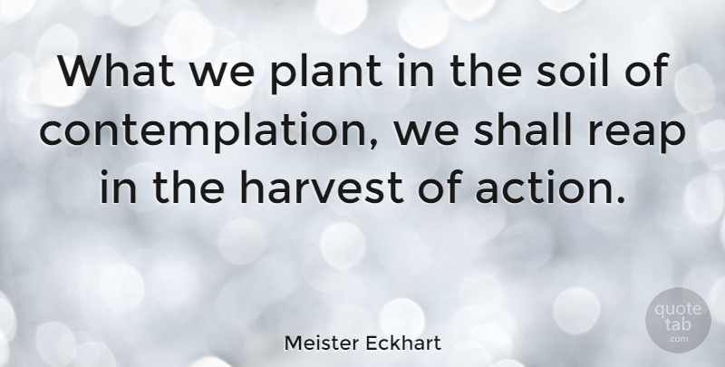 Meister Eckhart Quote About Excellence, Soil, Action: What We Plant In The...