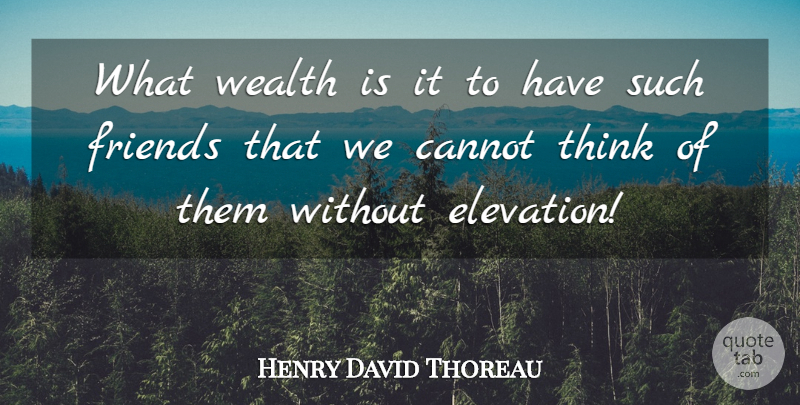 Henry David Thoreau Quote About Friendship, Real, Thinking: What Wealth Is It To...