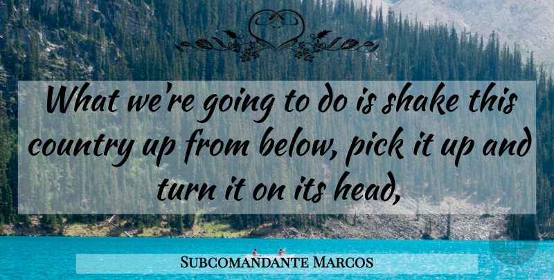 Subcomandante Marcos Quote About Country, Pick, Shake, Turn: What Were Going To Do...