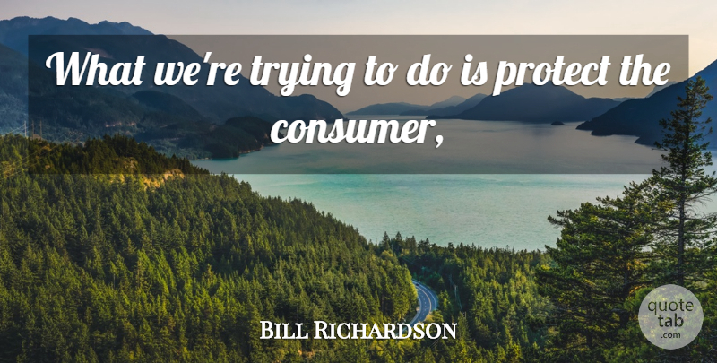 Bill Richardson Quote About Protect, Trying: What Were Trying To Do...