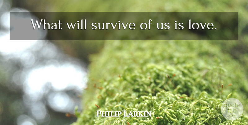 Philip Larkin Quote About Romantic, Death, Inspirational Love: What Will Survive Of Us...