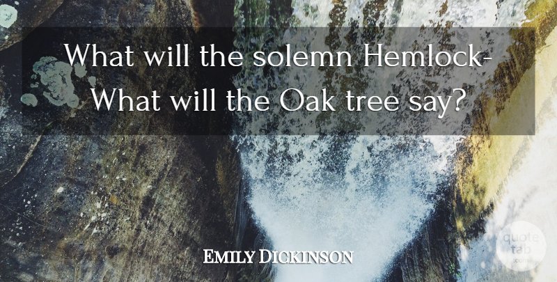 Emily Dickinson Quote About Nature, Tree, Hemlock: What Will The Solemn Hemlock...