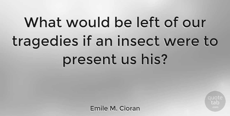 Emile M. Cioran Quote About Tragedy, Would Be, Insects: What Would Be Left Of...