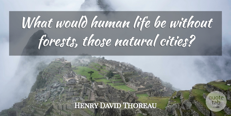 Henry David Thoreau Quote About Nature, Cities, Forests: What Would Human Life Be...