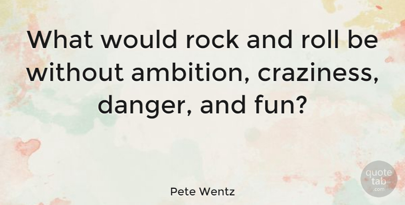 Pete Wentz Quote About Fun, Ambition, Rock And Roll: What Would Rock And Roll...