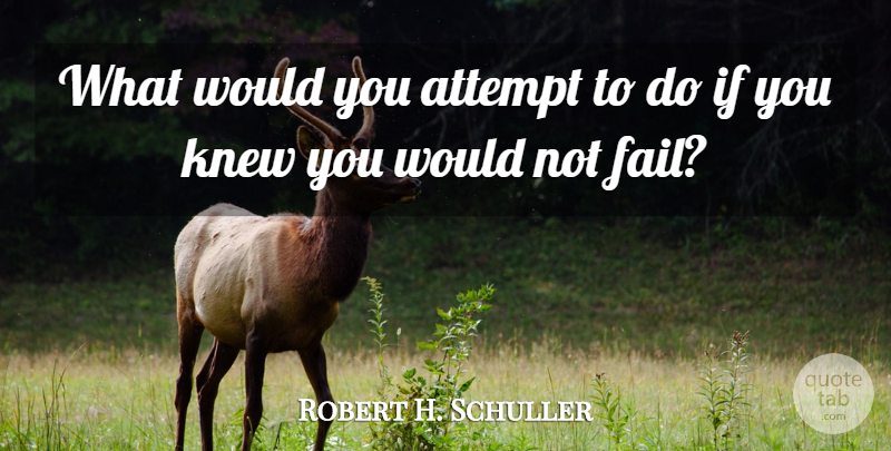 Robert H. Schuller Quote About Attempt, Knew: What Would You Attempt To...