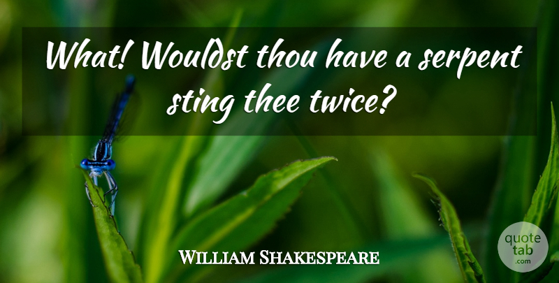 William Shakespeare Quote About Serpent, Sting, Thee, Thou: What Wouldst Thou Have A...
