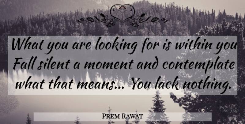 Prem Rawat Quote About Fall, Mean, Moments: What You Are Looking For...