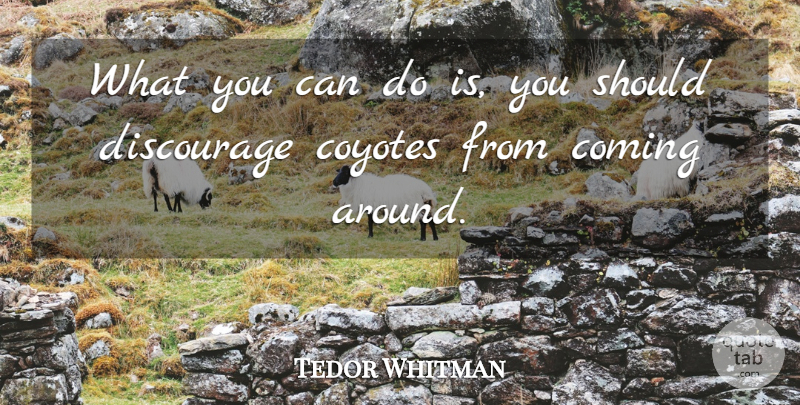 Tedor Whitman Quote About Coming, Discourage: What You Can Do Is...