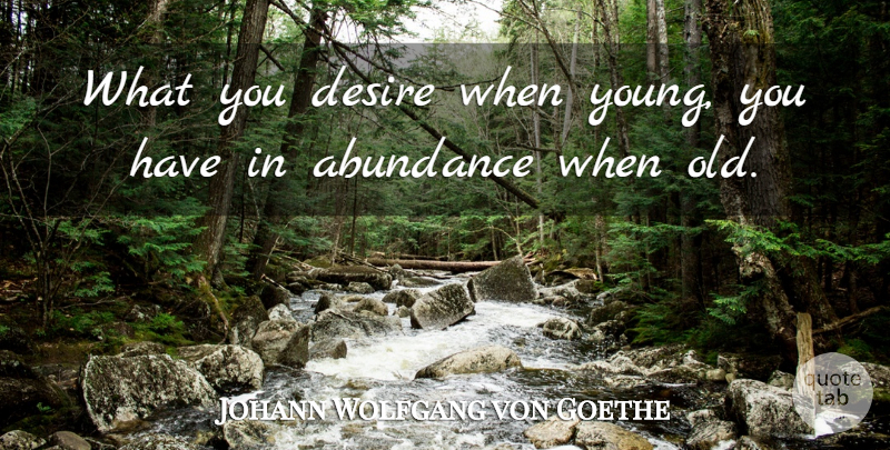 Johann Wolfgang von Goethe Quote About Age, Desire, Youth: What You Desire When Young...