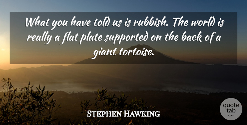 Stephen Hawking Quote About World, Rubbish, Tortoises: What You Have Told Us...