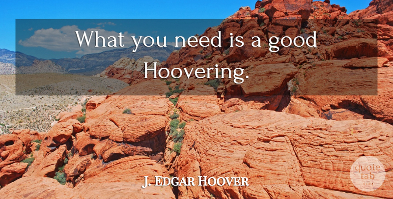 J. Edgar Hoover Quote About Needs: What You Need Is A...