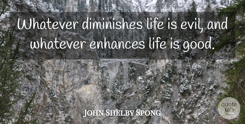 John Shelby Spong Quote About Life Is Good, Evil, Life Is: Whatever Diminishes Life Is Evil...