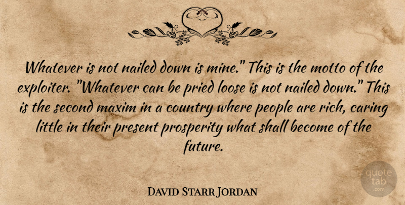 David Starr Jordan Quote About Country, Caring, People: Whatever Is Not Nailed Down...