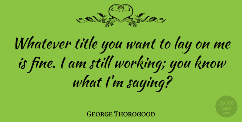 George Thorogood Quote About Titles, Want, Fine: Whatever Title You Want To...