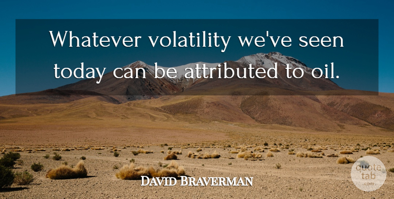 David Braverman Quote About Seen, Today, Volatility, Whatever: Whatever Volatility Weve Seen Today...