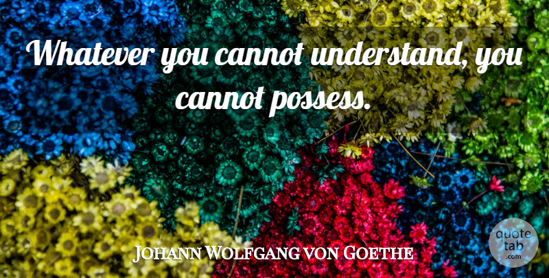 Johann Wolfgang von Goethe Quote About Understanding, Literature, Understanding And Love: Whatever You Cannot Understand You...