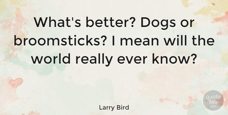 Larry Bird Quote About Basketball, Dog, Mean: Whats Better Dogs Or Broomsticks...