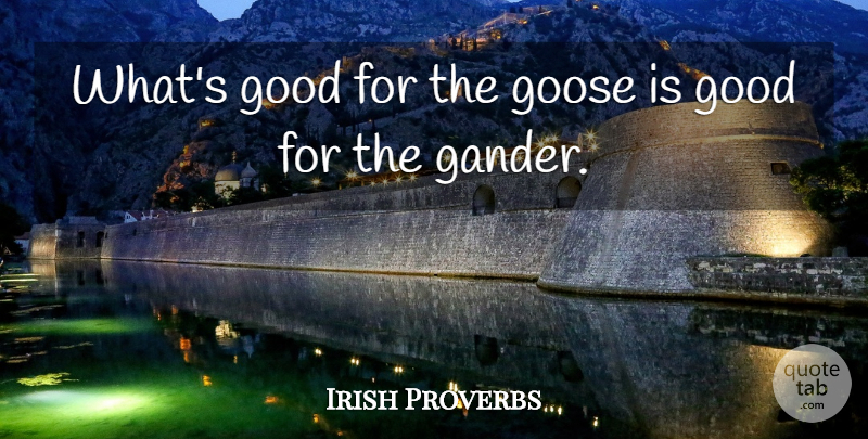 John Ray Quote About Wisdom, Gander, Geese: Whats Good For The Goose...