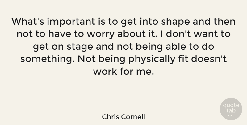Chris Cornell Quote About Fit, Fitness, Physically, Shape, Stage: Whats Important Is To Get...