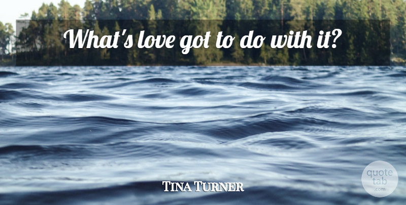Tina Turner Quote About Love: Whats Love Got To Do...