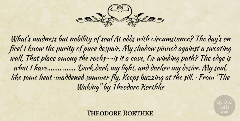 Theodore Roethke Quote About Summer, Wall, Dark: Whats Madness But Nobility Of...