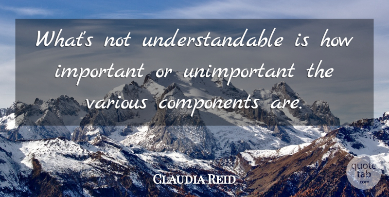 Claudia Reid Quote About Components, Various: Whats Not Understandable Is How...