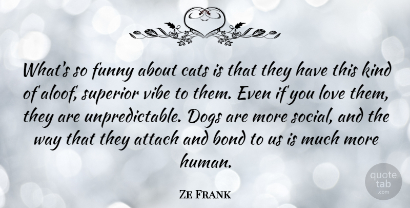 Ze Frank Quote About Attach, Bond, Cats, Dogs, Funny: Whats So Funny About Cats...