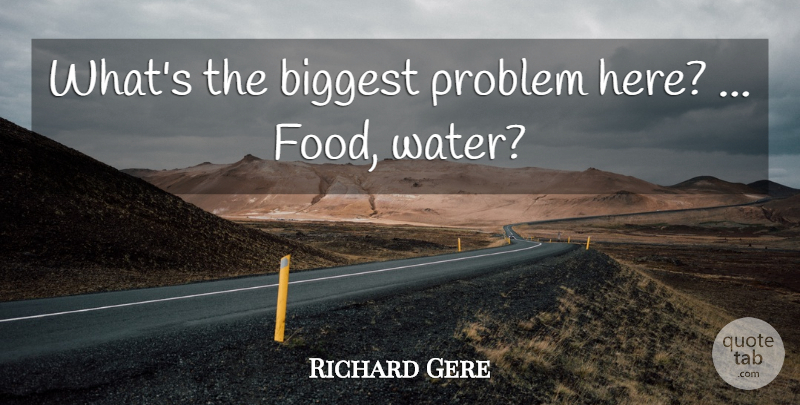Richard Gere Quote About Biggest, Food, Problem: Whats The Biggest Problem Here...