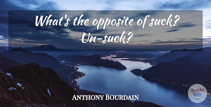 Anthony Bourdain Quote About Opposites: Whats The Opposite Of Suck...