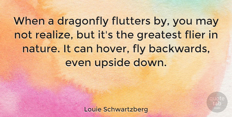 Louie Schwartzberg Quote About Fly, Greatest, Nature, Upside: When A Dragonfly Flutters By...