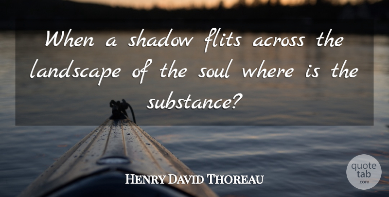 Henry David Thoreau Quote About Character, Soul, Shadow: When A Shadow Flits Across...