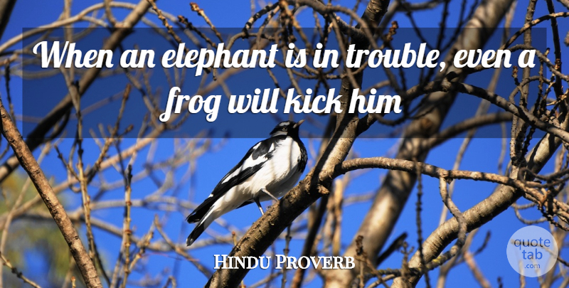 Hindu Proverb Quote About Elephant, Frog, Kick, Trouble: When An Elephant Is In...