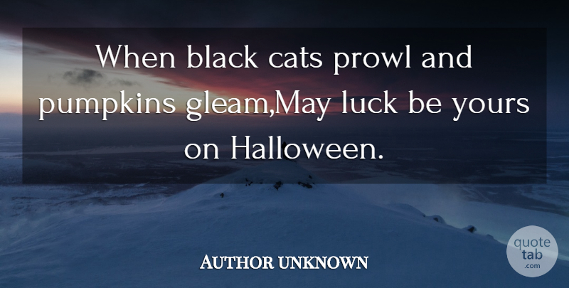 Author unknown Quote About Black, Cats, Luck, Pumpkins, Yours: When Black Cats Prowl And...
