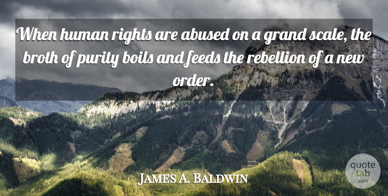 James A. Baldwin Quote About Order, Rights, Revolution: When Human Rights Are Abused...