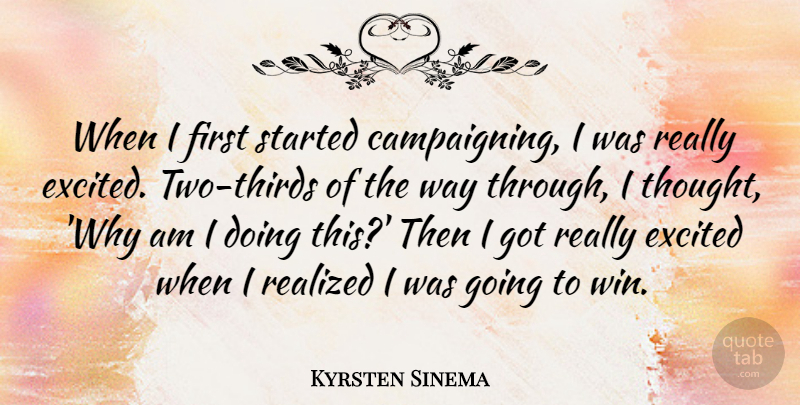 Kyrsten Sinema Quote About Excited, Realized: When I First Started Campaigning...