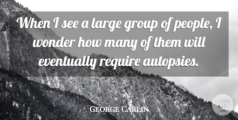 George Carlin Quote About People, Groups, Wonder: When I See A Large...