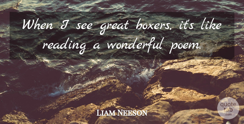 Liam Neeson Quote About Reading, Boxers, Wonderful: When I See Great Boxers...