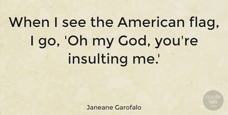 Janeane Garofalo Quote About Insulting, Flags, American Flag: When I See The American...