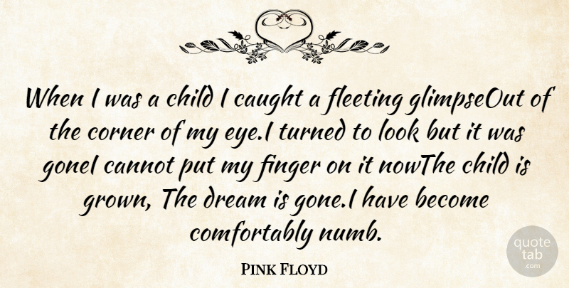 Pink Floyd Quote About Cannot, Caught, Child, Corner, Dream: When I Was A Child...