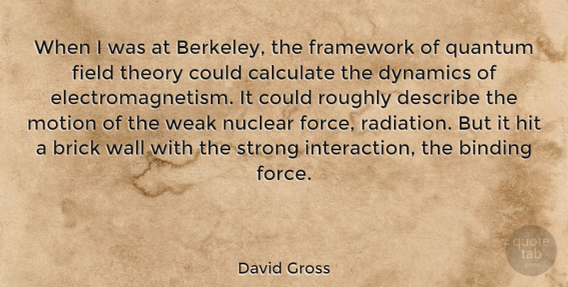 David Gross Quote About Binding, Calculate, Describe, Dynamics, Field: When I Was At Berkeley...