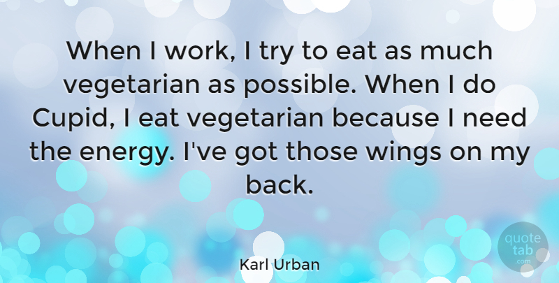 Karl Urban Quote About Wings, Trying, Needs: When I Work I Try...