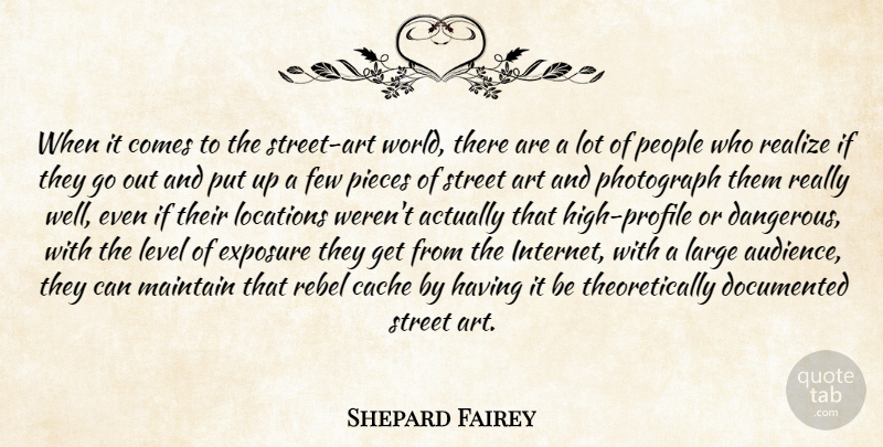 Shepard Fairey Quote About Art, People, Cache: When It Comes To The...