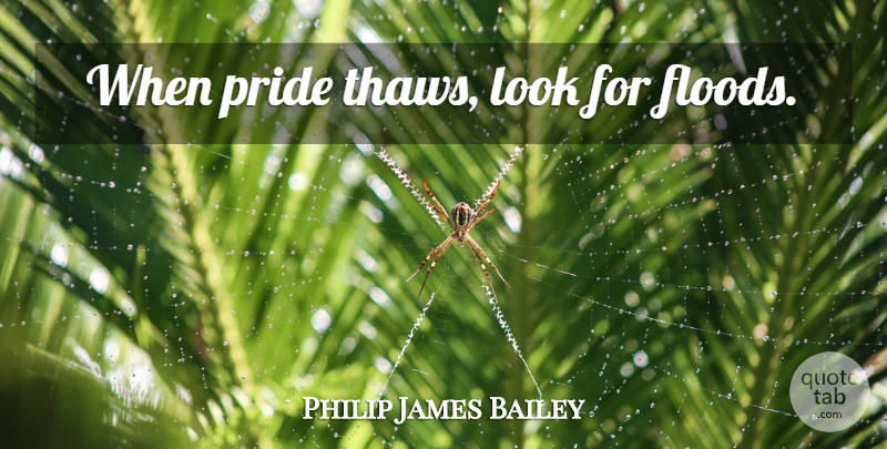 Philip James Bailey Quote About Pride, Looks, Flood: When Pride Thaws Look For...