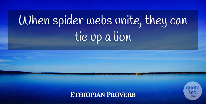 Ethiopian Proverb Quote About Lion, Spider, Tie: When Spider Webs Unite They...