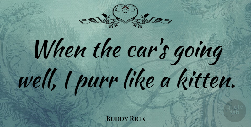Buddy Rice Quote About Car, Kitten, Wells: When The Cars Going Well...
